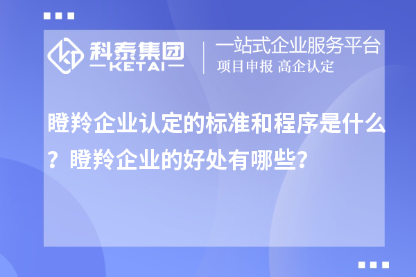 <a href=http://www.zh-tour.cn/fuwu/dengling.html target=_blank class=infotextkey>瞪羚企業認定</a>的標準和程序是什么？瞪羚企業的好處有哪些？