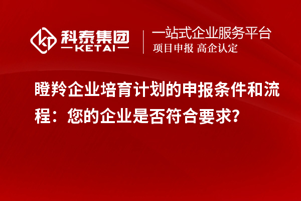 瞪羚企業培育計劃的申報條件和流程：您的企業是否符合要求？