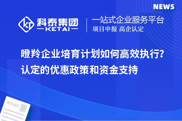 瞪羚企業培育計劃如何高效執行？認定的優惠政策和資金支持