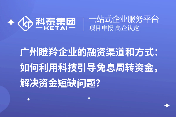 廣州瞪羚企業的融資渠道和方式：如何利用科技引導免息周轉資金，解決資金短缺問題？