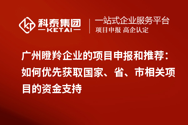 廣州瞪羚企業的項目申報和推薦：如何優先獲取國家、省、市相關項目的資金支持