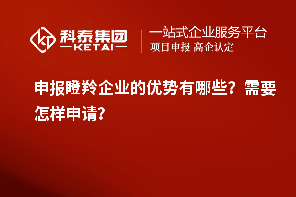 申報瞪羚企業的優勢有哪些？需要怎樣申請？