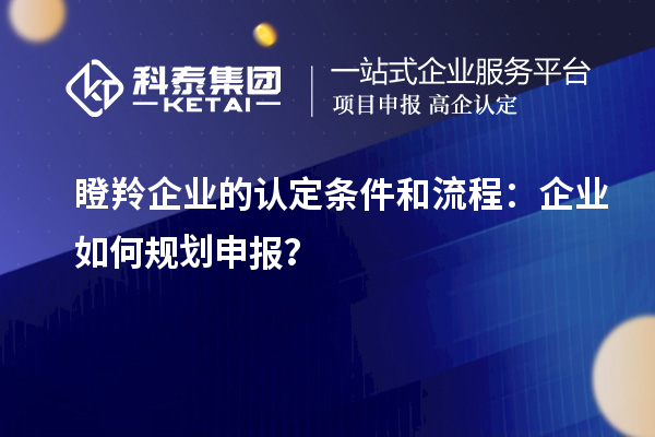 瞪羚企業的認定條件和流程：企業如何規劃申報？
