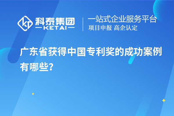 廣東省獲得中國專利獎的成功案例有哪些？