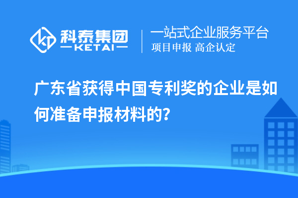 廣東省獲得中國專利獎的企業是如何準備申報材料的？