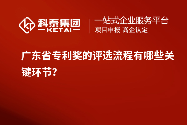 廣東省專利獎的評選流程有哪些關鍵環節？