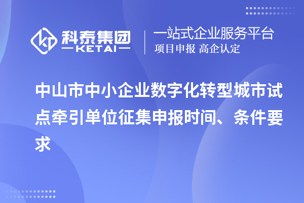中山市中小企業數字化轉型城市試點牽引單位征集申報時間、條件要求