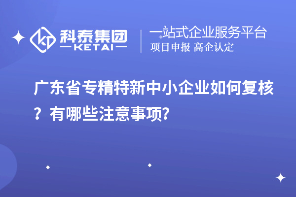 廣東省專精特新中小企業如何復核？有哪些注意事項？