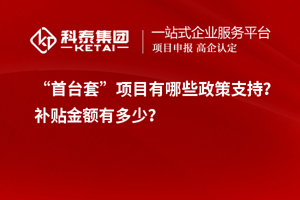 “首臺套”項目有哪些政策支持？補貼金額有多少？