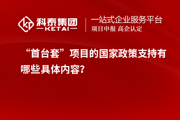“首臺套”項目的國家政策支持有哪些具體內容？