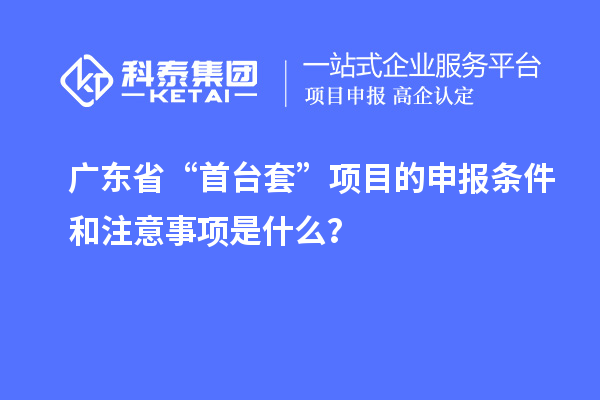 廣東省“首臺套”項目的申報條件和注意事項是什么？