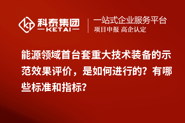 能源領域首臺套重大技術裝備的示范效果評價，是如何進行的？有哪些標準和指標？