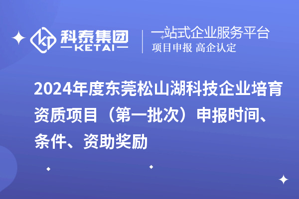 2024年度東莞松山湖科技企業培育資質項目（第一批次）申報時間、條件、資助獎勵