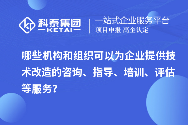 哪些機構和組織可以為企業提供技術改造的咨詢、指導、培訓、評估等服務？