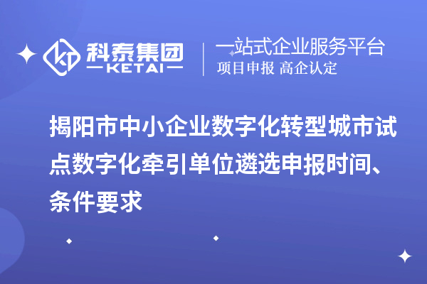 揭陽市中小企業數字化轉型城市試點數字化牽引單位遴選申報時間、條件要求