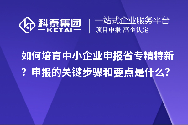 如何培育中小企業申報省專精特新？申報的關鍵步驟和要點是什么？