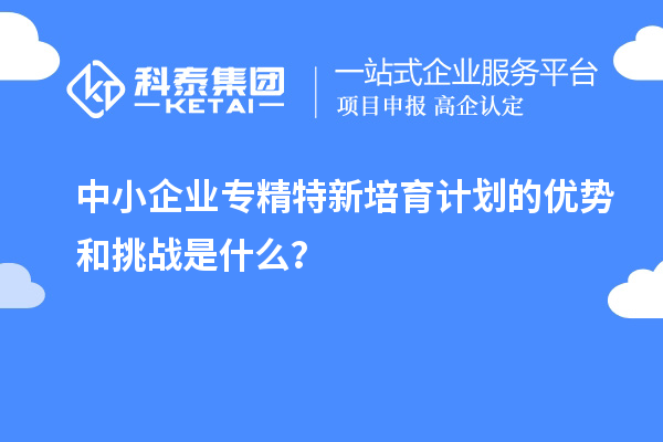 中小企業專精特新培育計劃的優勢和挑戰是什么？