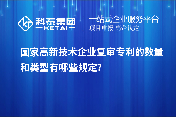 國家高新技術企業復審專利的數量和類型有哪些規定？