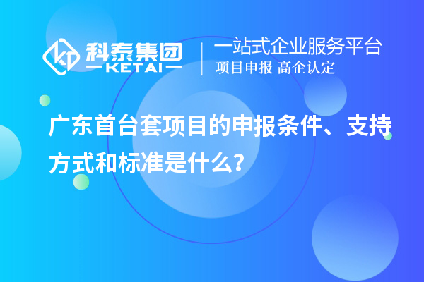 廣東首臺套項目的申報條件、支持方式和標準是什么？