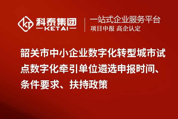 韶關市中小企業數字化轉型城市試點數字化牽引單位遴選申報時間、條件要求、扶持政策