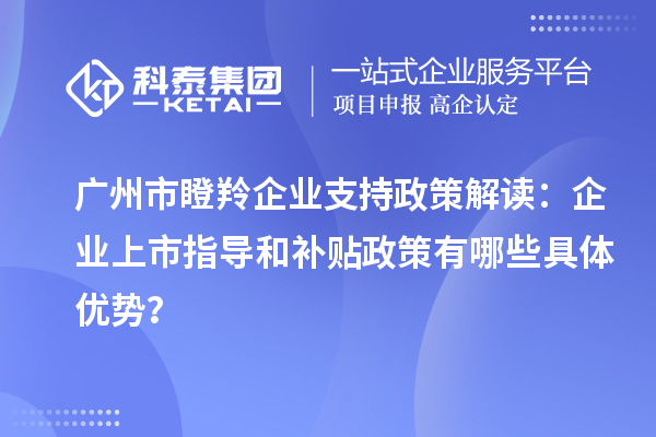 廣州市瞪羚企業支持政策解讀：企業上市指導和補貼政策有哪些具體優勢？