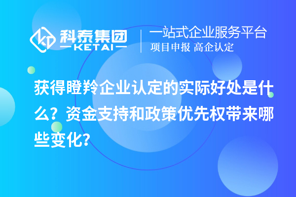 獲得瞪羚企業認定的實際好處是什么？資金支持和政策優先權帶來哪些變化？
