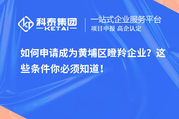 如何申請成為黃埔區瞪羚企業？這些條件你必須知道！