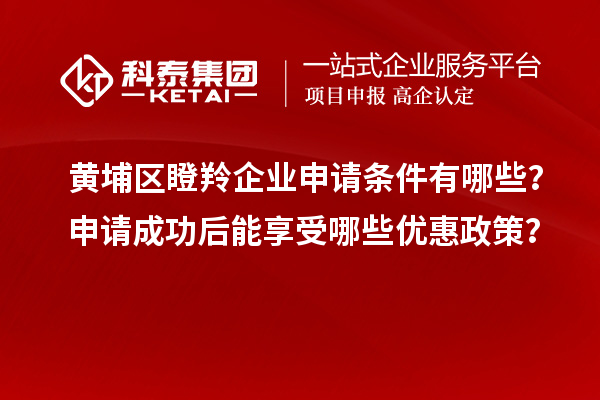 黃埔區瞪羚企業申請條件有哪些？申請成功后能享受哪些優惠政策？