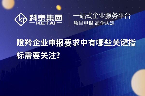 瞪羚企業申報要求中有哪些關鍵指標需要關注？