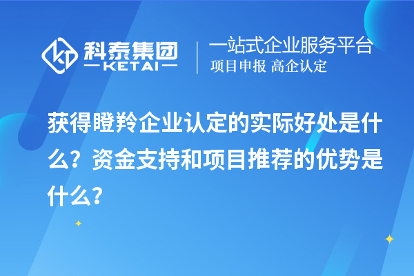 獲得瞪羚企業認定的實際好處是什么？資金支持和項目推薦的優勢是什么？