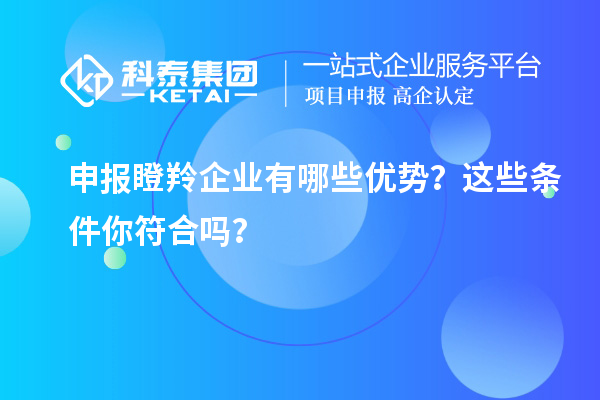 申報瞪羚企業有哪些優勢？這些條件你符合嗎？