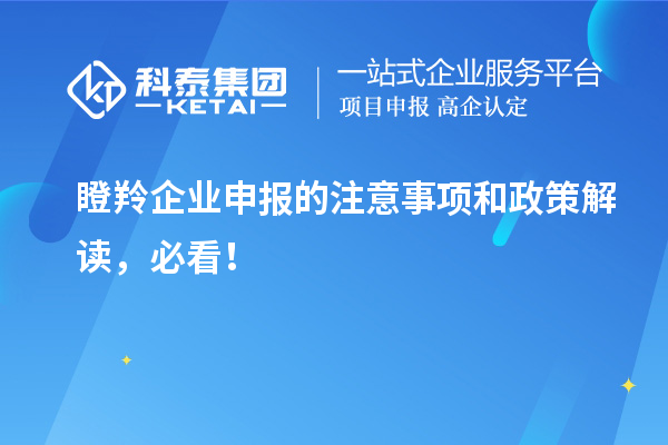 瞪羚企業申報的注意事項和政策解讀，必看！