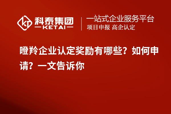 瞪羚企業認定獎勵有哪些？如何申請？一文告訴你