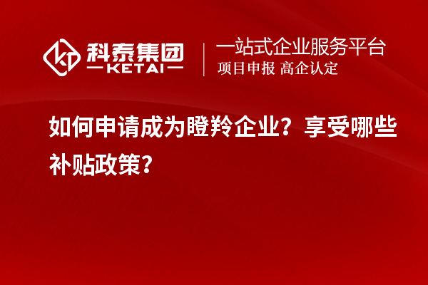 如何申請成為瞪羚企業？享受哪些補貼政策？