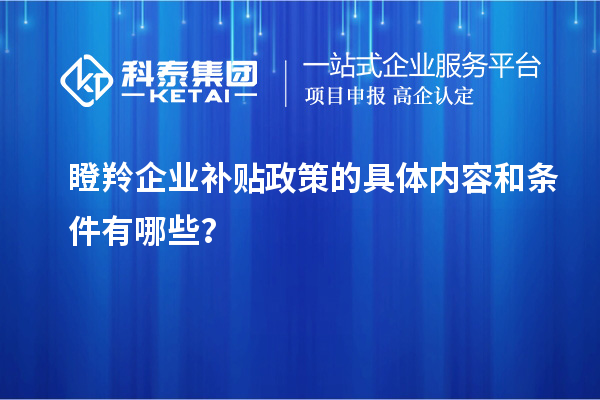 瞪羚企業補貼政策的具體內容和條件有哪些？