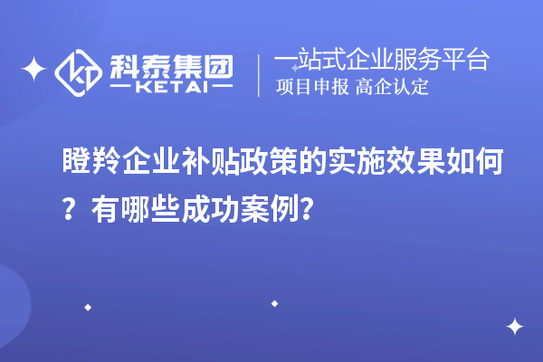 瞪羚企業補貼政策的實施效果如何？有哪些成功案例？