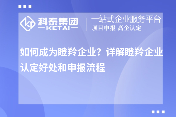 如何成為瞪羚企業？詳解瞪羚企業認定好處和申報流程