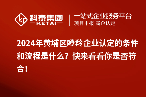 2024年黃埔區瞪羚企業認定的條件和流程是什么？快來看看你是否符合！