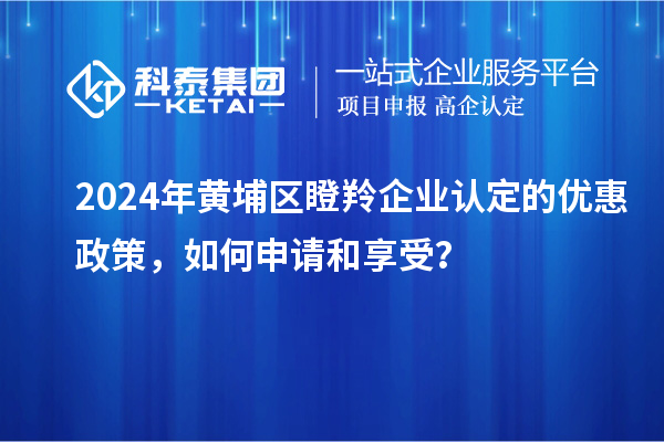 2024年黃埔區瞪羚企業認定的優惠政策，如何申請和享受？