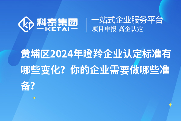 黃埔區2024年瞪羚企業認定標準有哪些變化？你的企業需要做哪些準備？