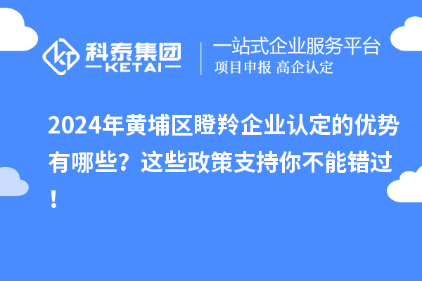 2024年黃埔區瞪羚企業認定的優勢有哪些？這些政策支持你不能錯過！