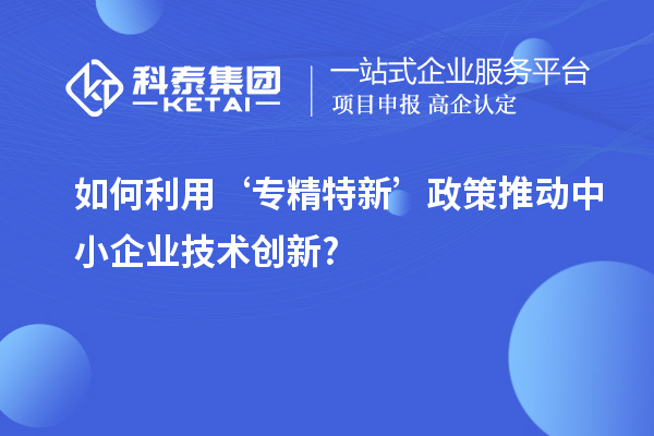 如何利用‘專精特新’政策推動中小企業技術創新?