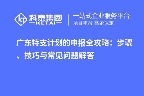 廣東特支計劃的申報全攻略：步驟、技巧與常見問題解答