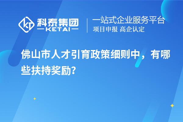 佛山市人才引育政策細則中，有哪些扶持獎勵？
