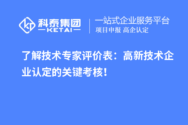 了解技術專家評價表：高新技術企業認定的關鍵考核！