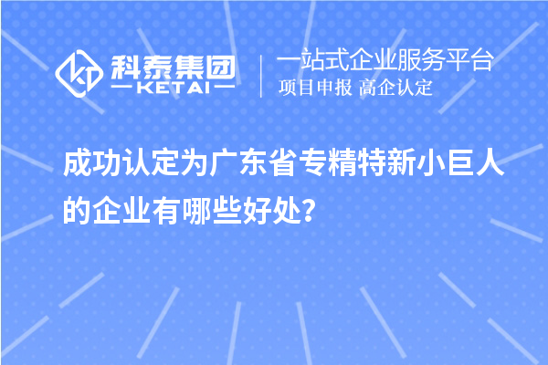 成功認定為廣東省專精特新小巨人的企業有哪些好處？