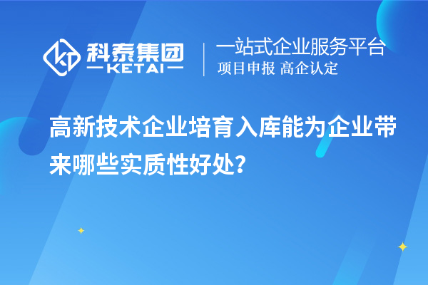 高新技術企業培育入庫能為企業帶來哪些實質性好處？