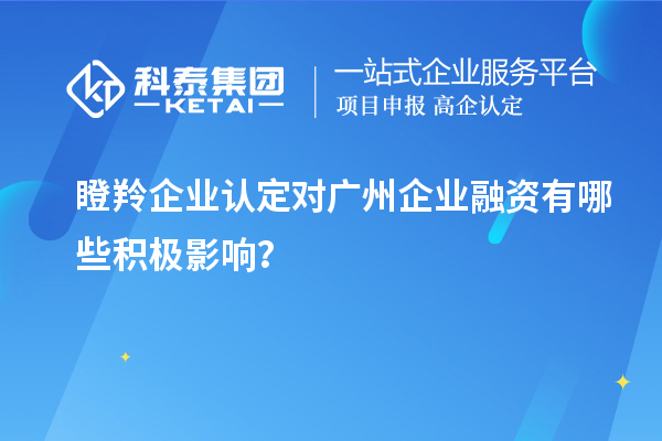 瞪羚企業認定對廣州企業融資有哪些積極影響？