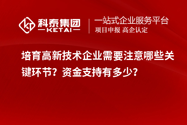 培育高新技術企業需要注意哪些關鍵環節？資金支持有多少？