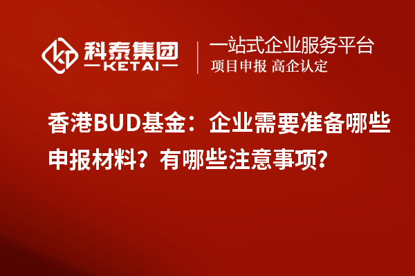 香港BUD基金：企業需要準備哪些申報材料？有哪些注意事項？